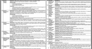 Government of Sindh Job Vacancies